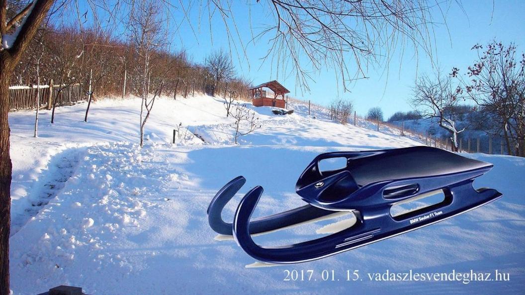Vadaszles Vendeghaz Bukkszentmarton Екстер'єр фото